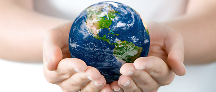 Интернет-магазин курсов иностранных языков